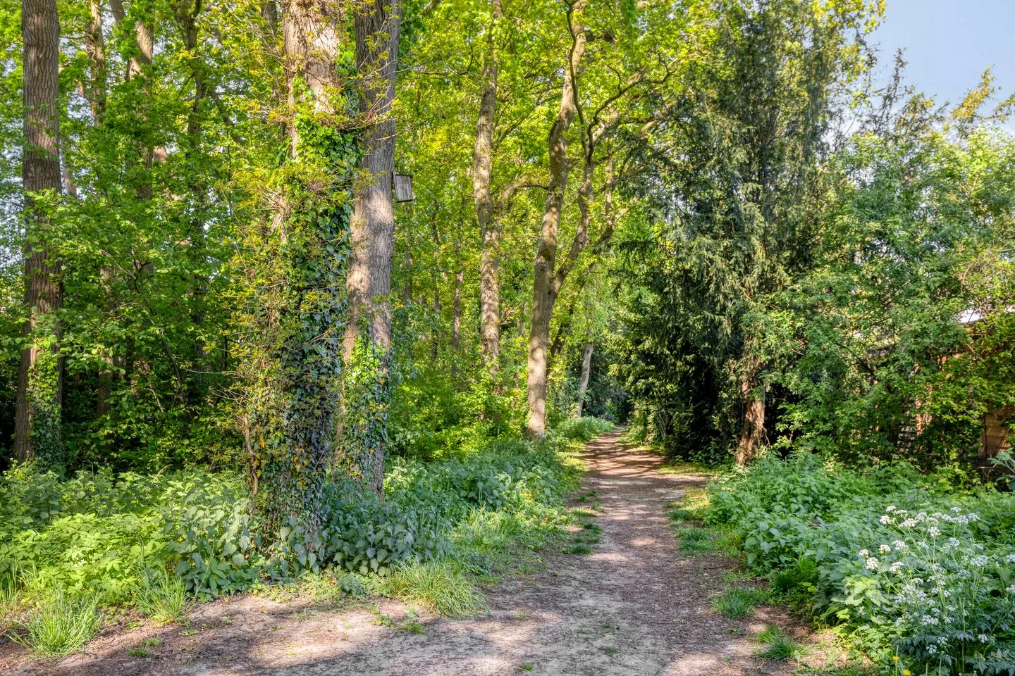 Enargietdijk 10 Roosendaal thumbnail 33