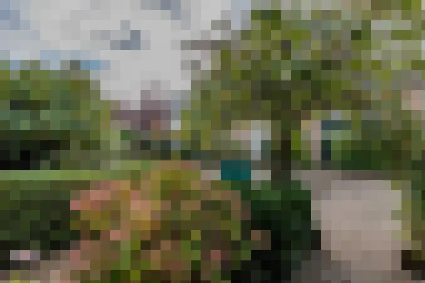 Enckelaan 18 Bilthoven thumbnail 5