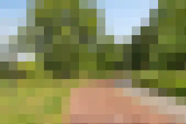 Enclaveberg 65 Roosendaal thumbnail 31