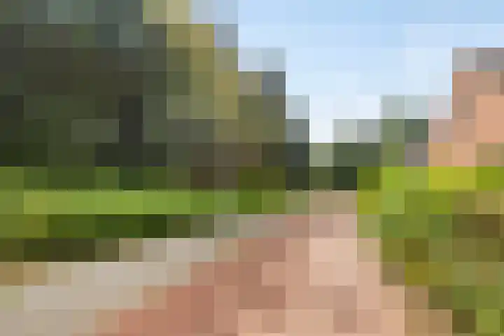 Enclaveberg 65 Roosendaal thumbnail 32