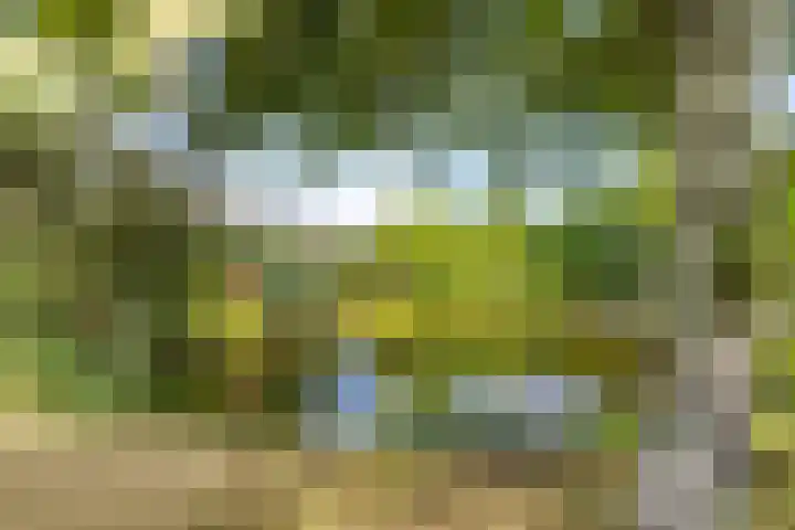 Enclaveberg 65 Roosendaal thumbnail 33