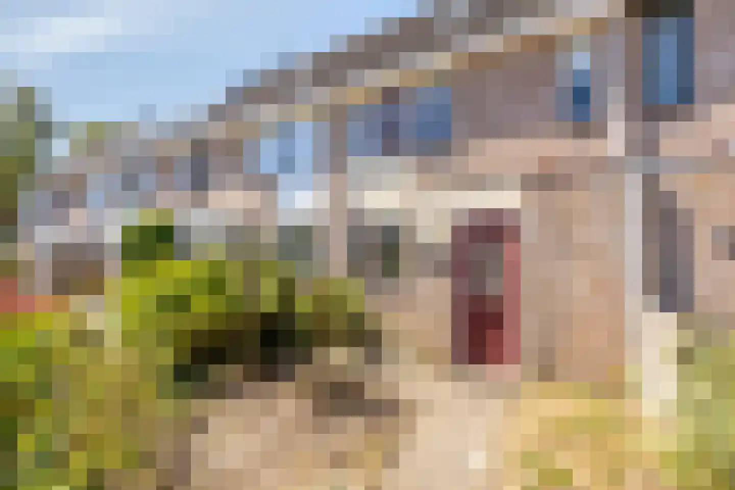 Enclaveberg 75 Roosendaal