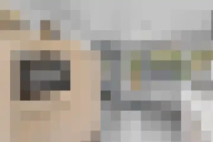 Enclaveberg 86 Roosendaal thumbnail 14