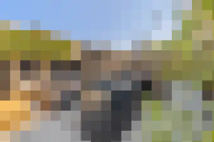 Enclaveberg 86 Roosendaal thumbnail 42