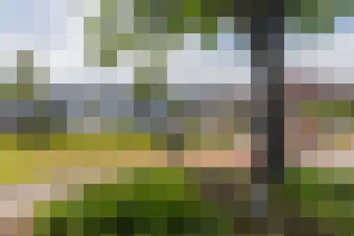 Endeldijk 2 B Honselersdijk thumbnail 31