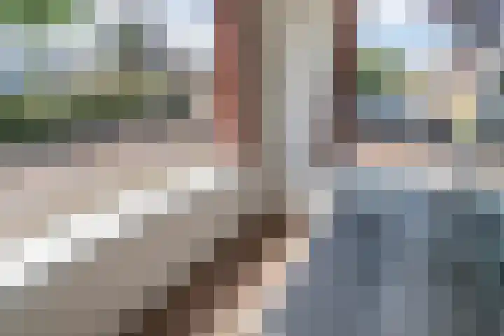 Endeldijk 2 B Honselersdijk thumbnail 4