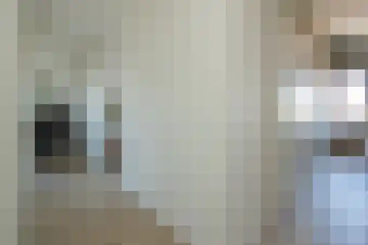 Endeldijk 2 H Honselersdijk thumbnail 10