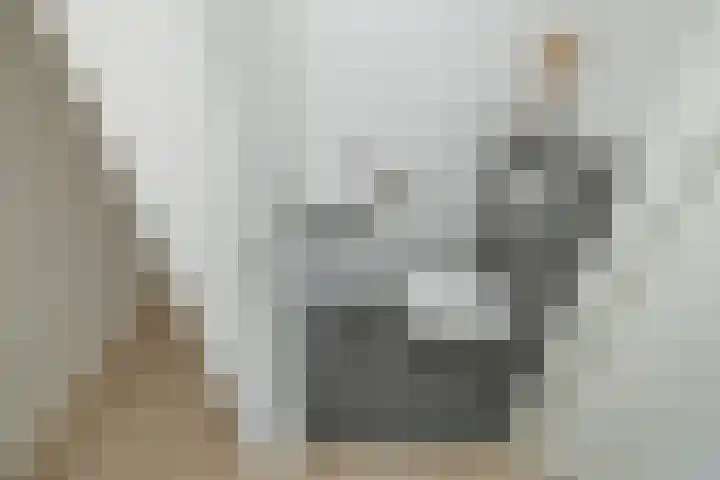 Endeldijk 2 H Honselersdijk thumbnail 11