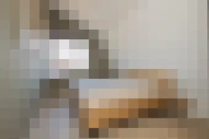 Endeldijk 2 H Honselersdijk thumbnail 22