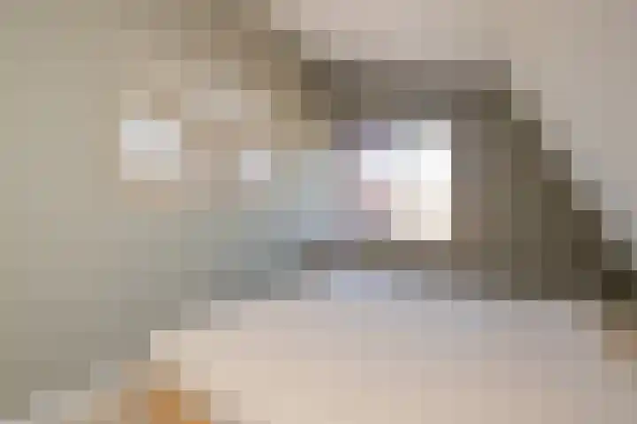 Endeldijk 2 H Honselersdijk thumbnail 23