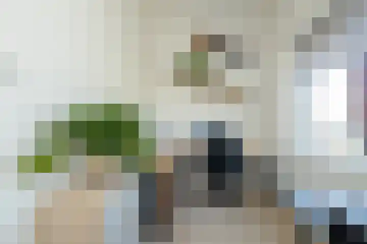Endeldijk 2 H Honselersdijk thumbnail 32