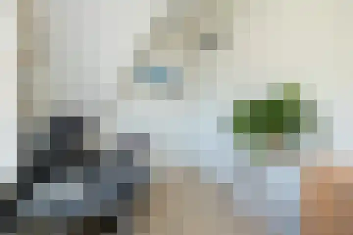 Endeldijk 2 H Honselersdijk thumbnail 33