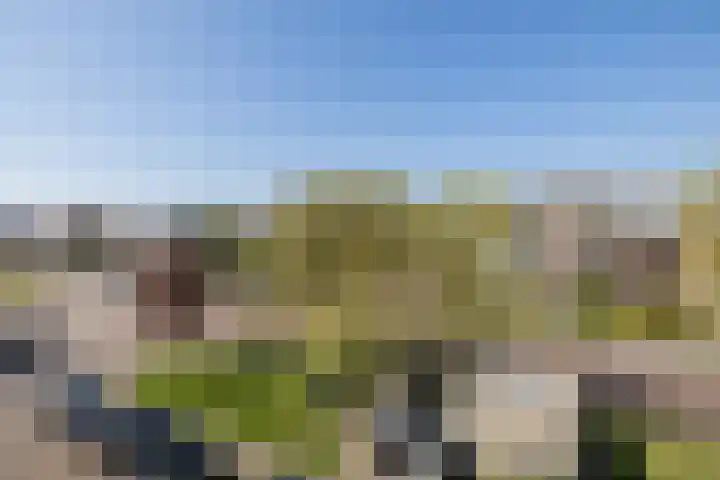 Endeldijk 2 H Honselersdijk thumbnail 34