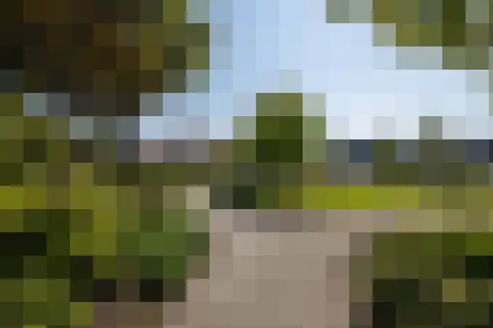 Endeldijk 2 H Honselersdijk thumbnail 36