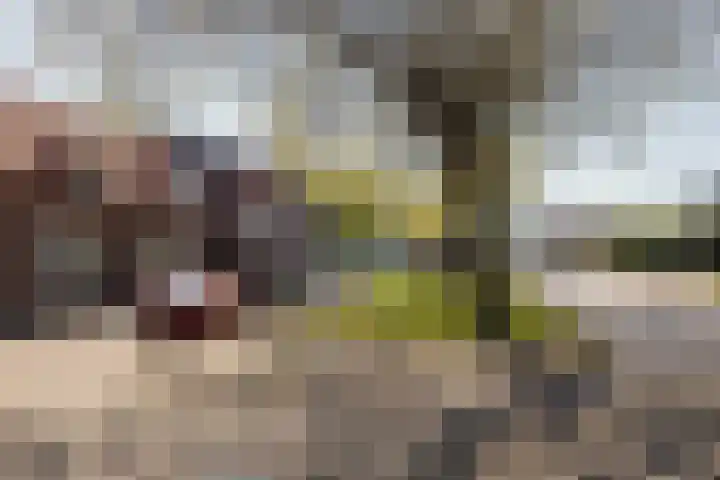 Endeldijk 2 H Honselersdijk thumbnail 39