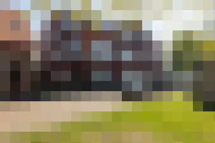 Endeldijk 2 H Honselersdijk thumbnail 54