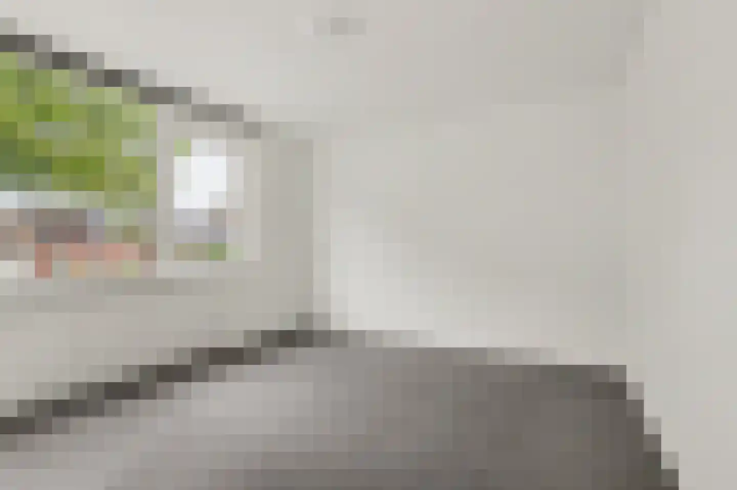 Endeldijk 30 Honselersdijk thumbnail 10