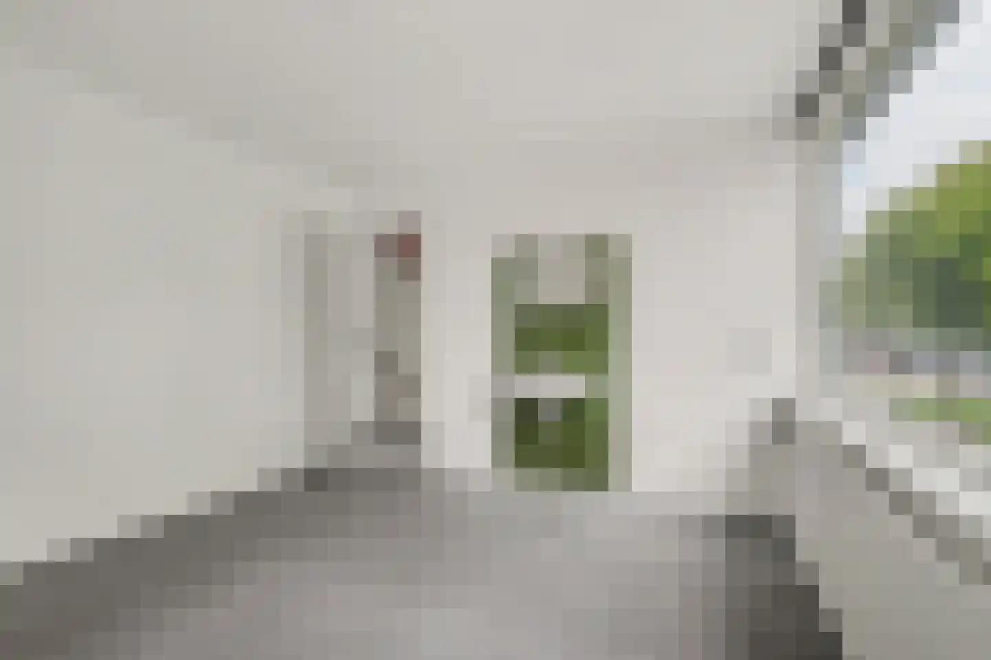 Endeldijk 30 Honselersdijk thumbnail 11