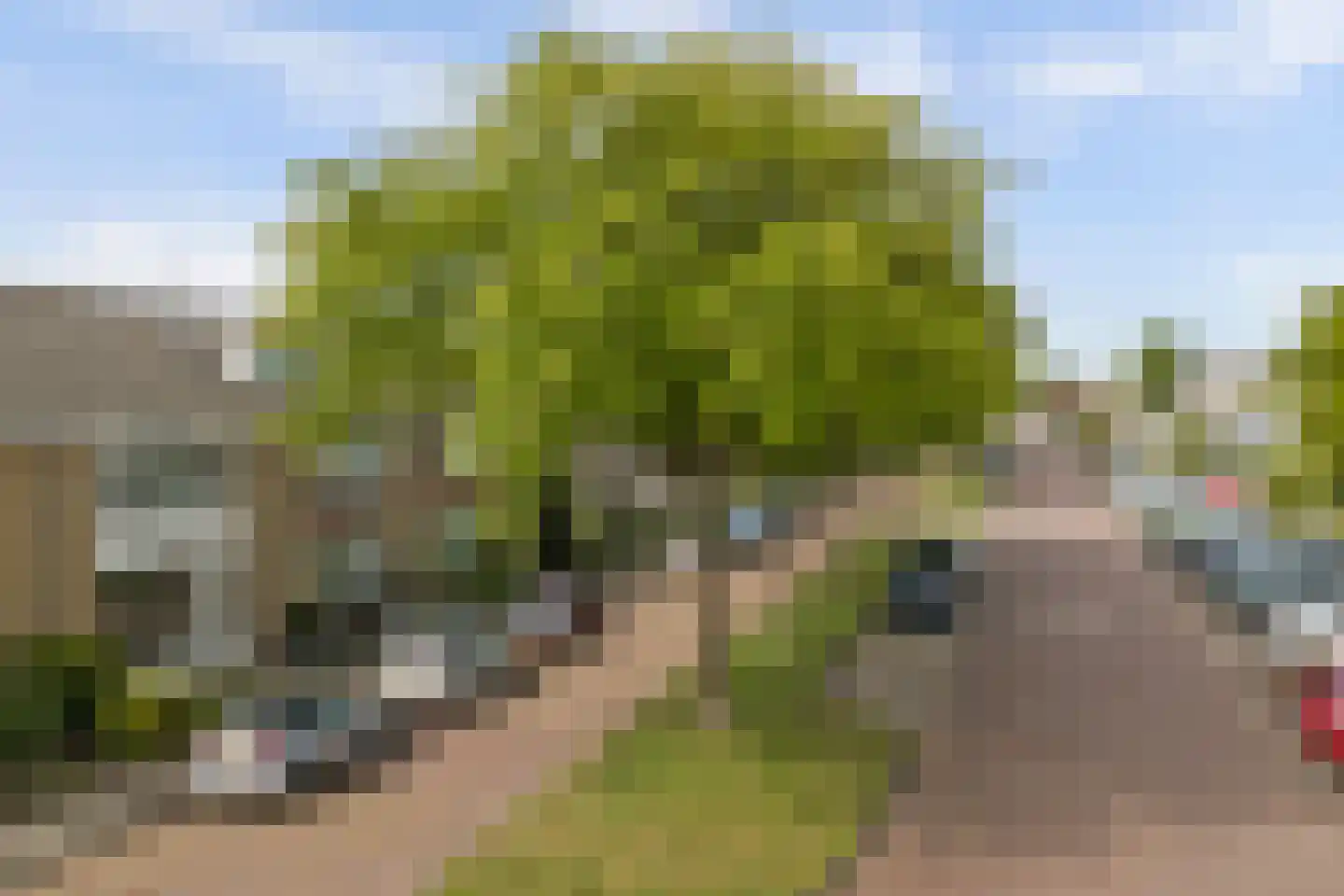Endeldijk 30 Honselersdijk thumbnail 28