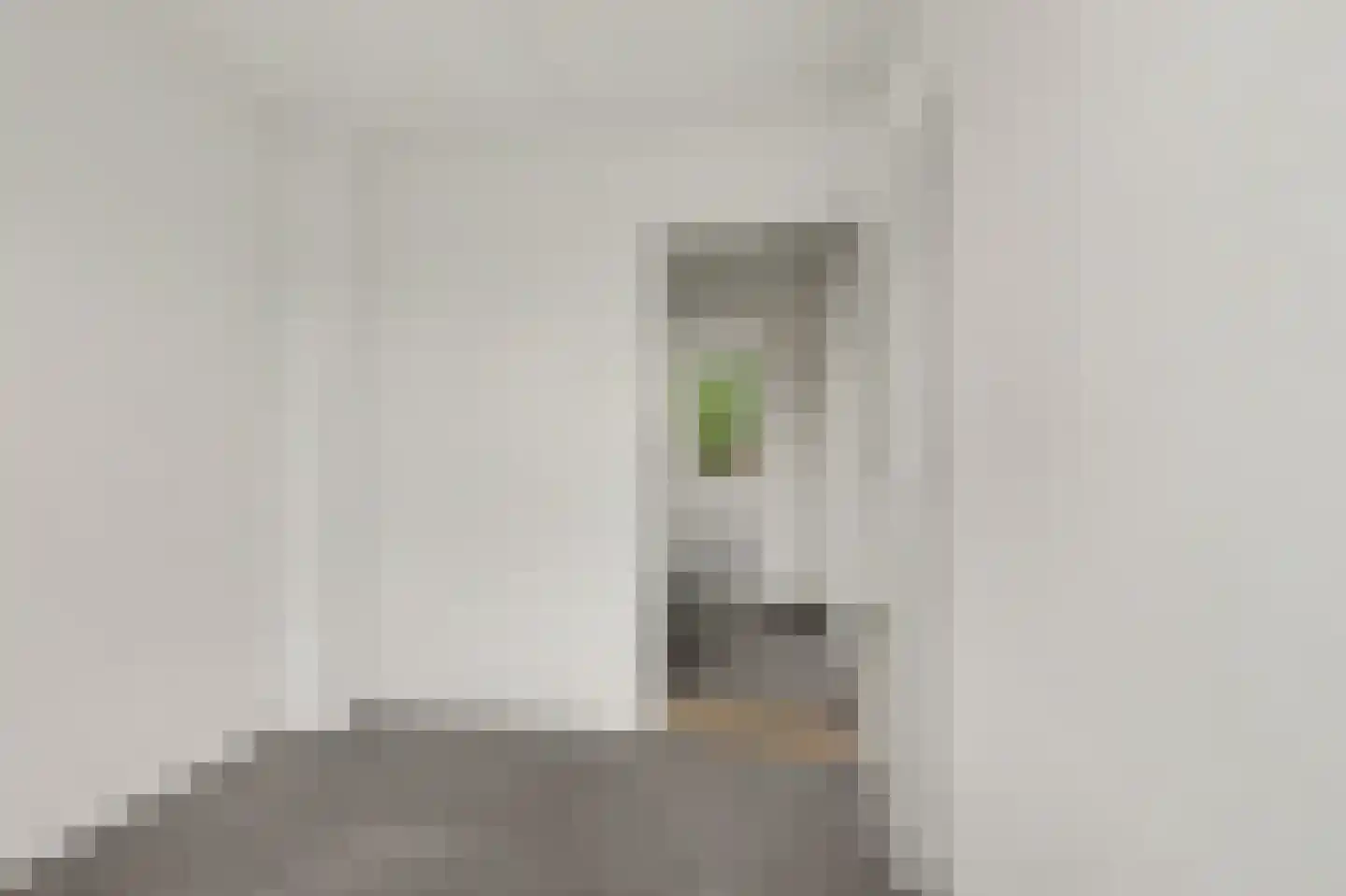 Endeldijk 30 Honselersdijk thumbnail 9