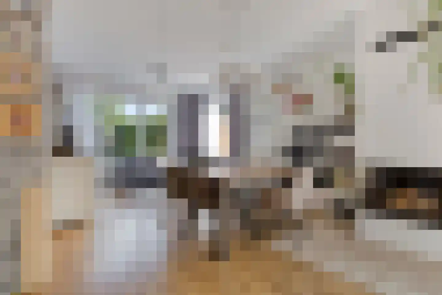 Endeldijk 34 Honselersdijk thumbnail 14