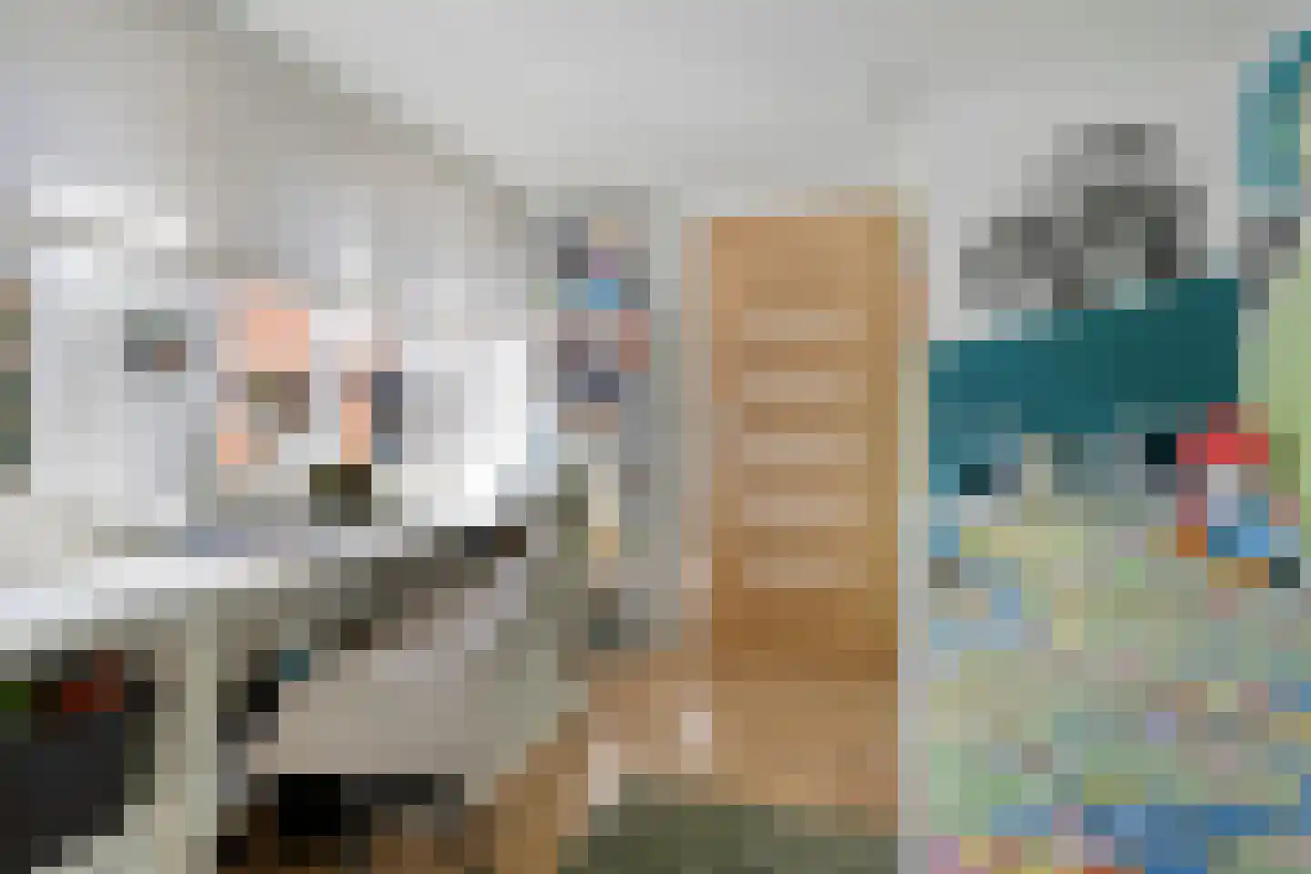 Endeldijk 34 Honselersdijk thumbnail 36