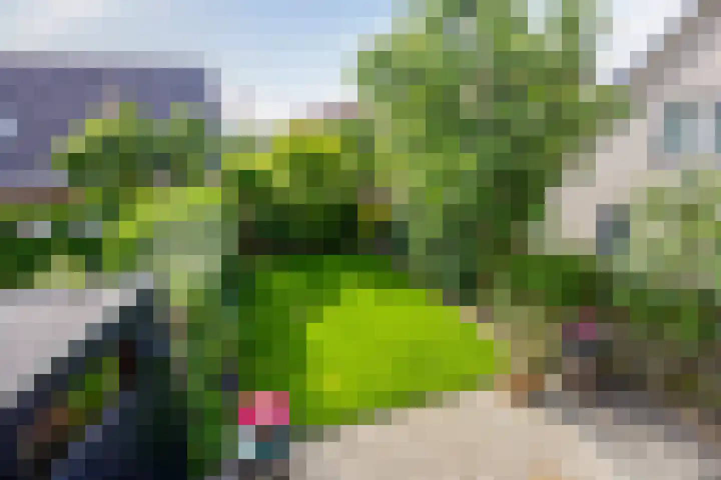 Endeldijk 36 Honselersdijk thumbnail 23