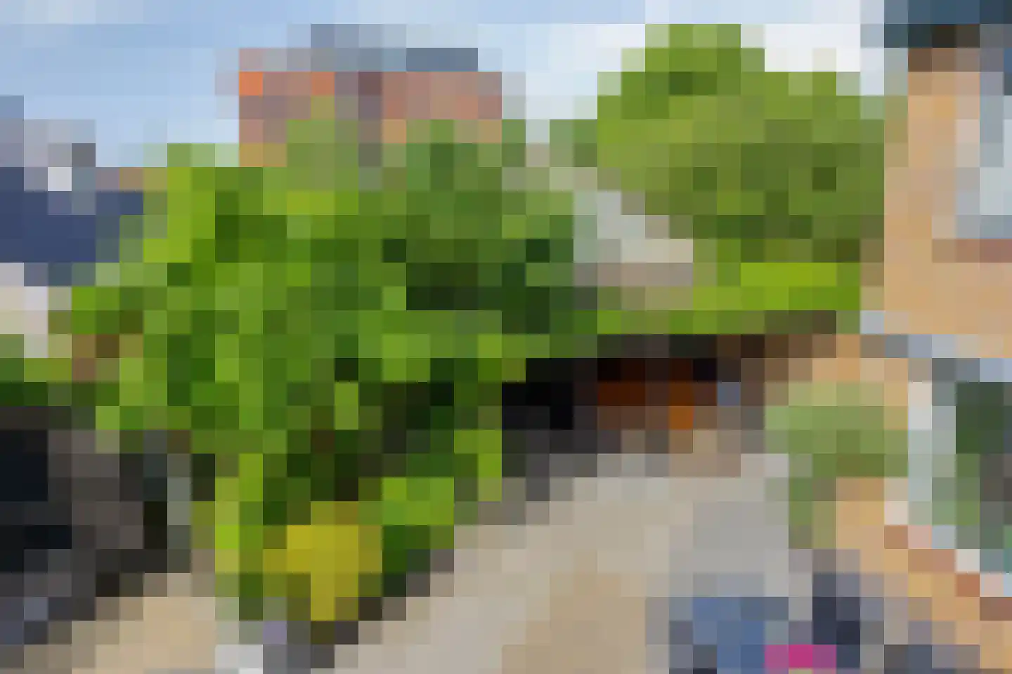 Endeldijk 36 Honselersdijk thumbnail 43