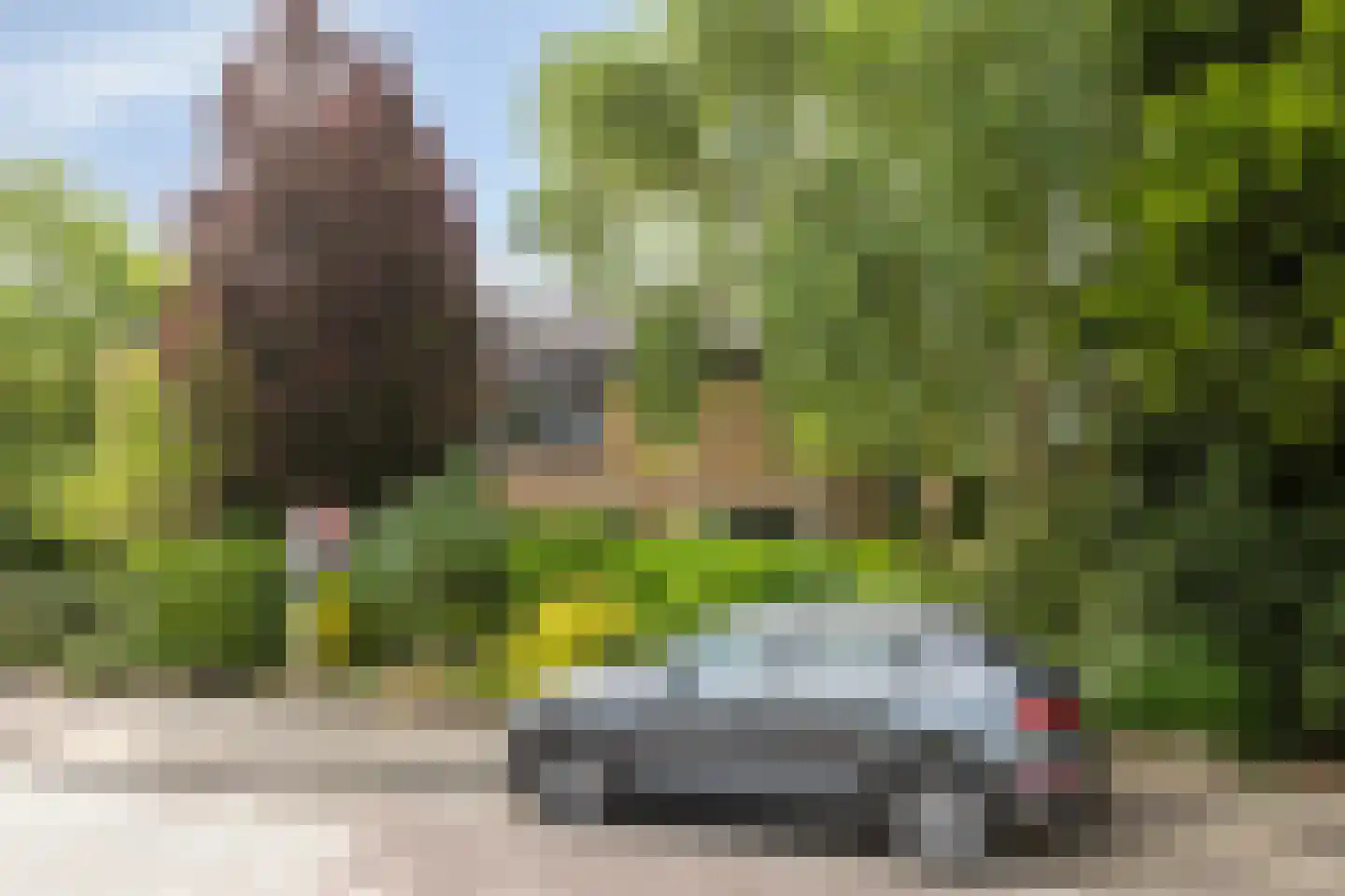 Endeldijk 36 Honselersdijk thumbnail 5