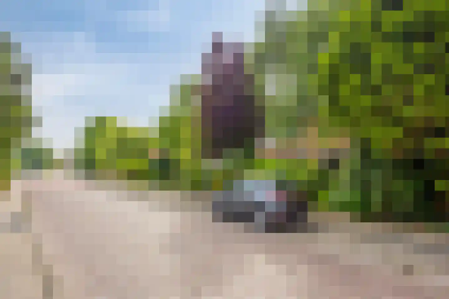 Endeldijk 36 Honselersdijk thumbnail 52