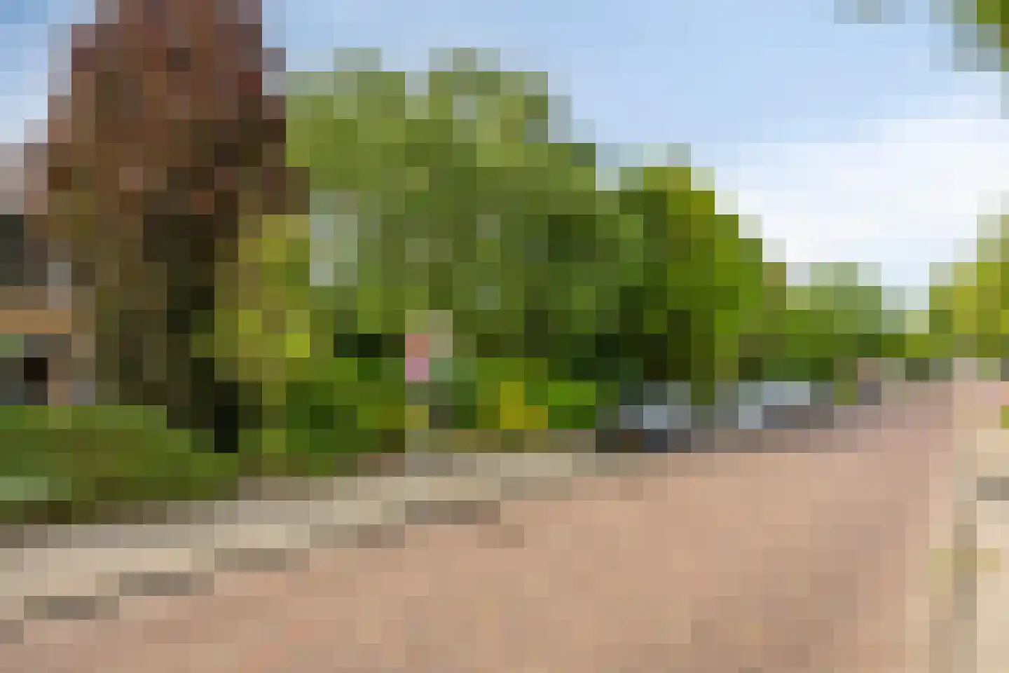 Endeldijk 36 Honselersdijk thumbnail 53