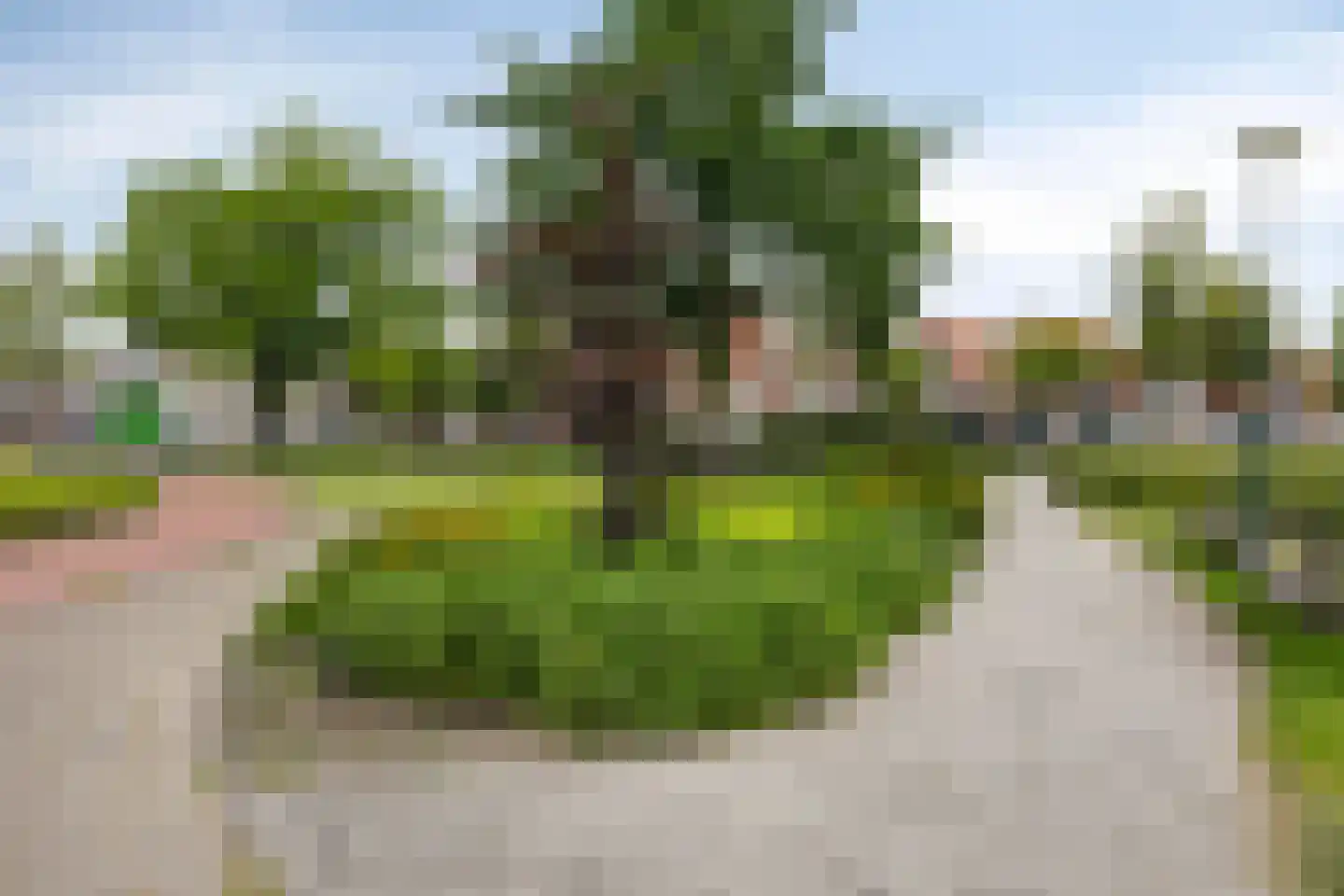 Endeldijk 36 Honselersdijk thumbnail 56