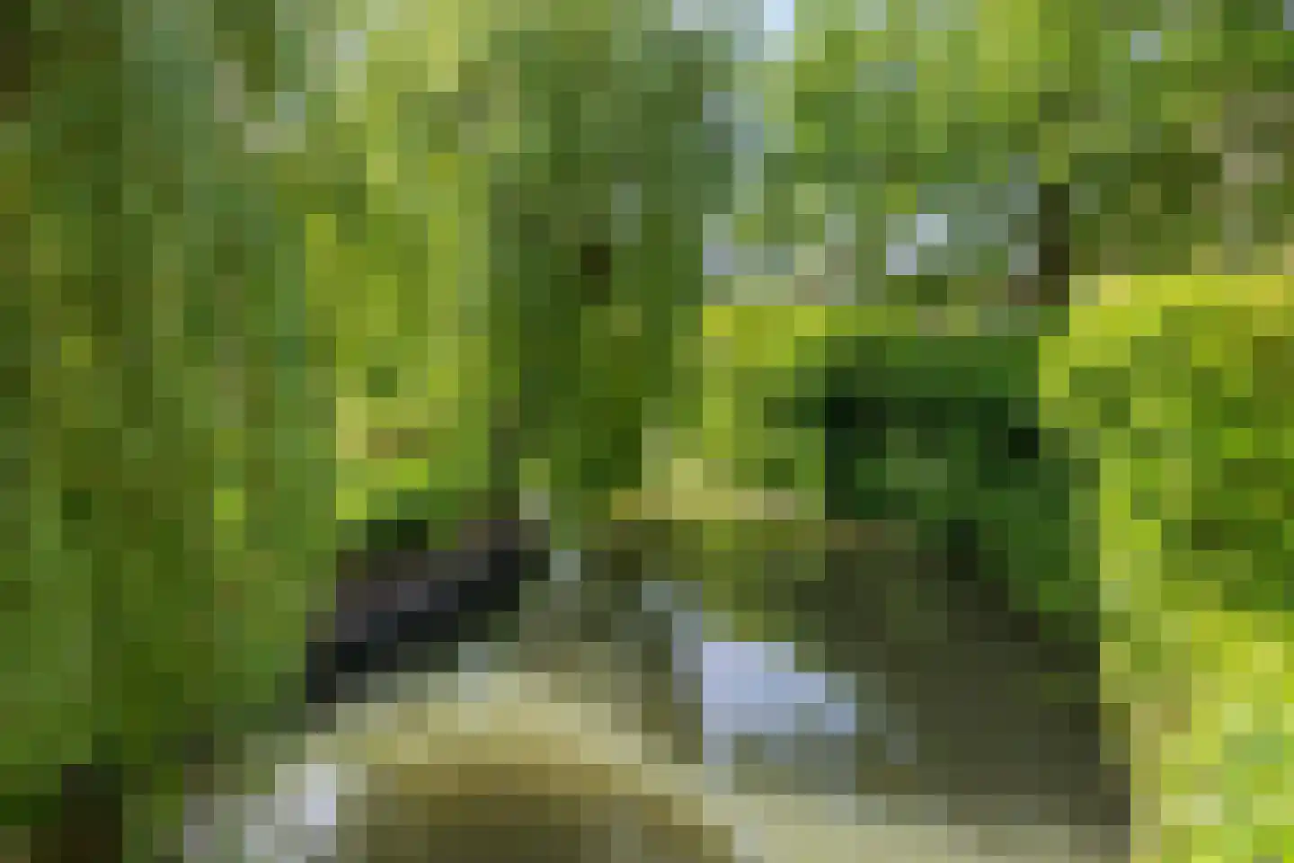Endeldijk 36 Honselersdijk thumbnail 57