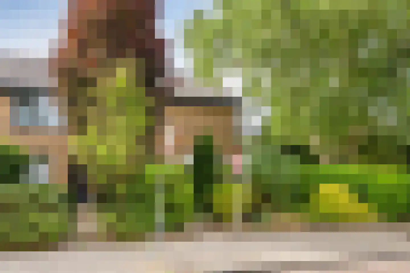 Endeldijk 36 Honselersdijk thumbnail 6