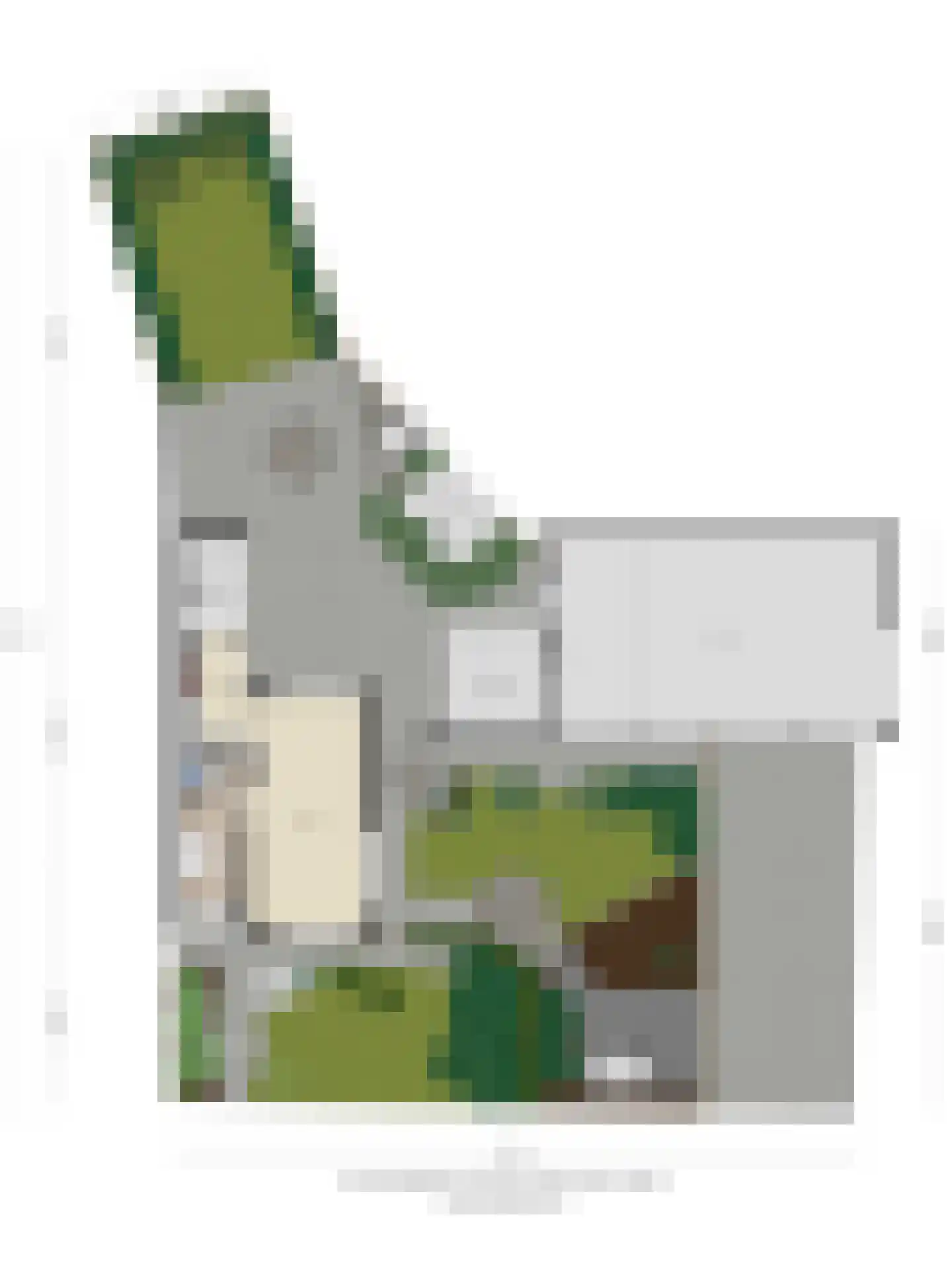 Endeldijk 36 Honselersdijk thumbnail 61