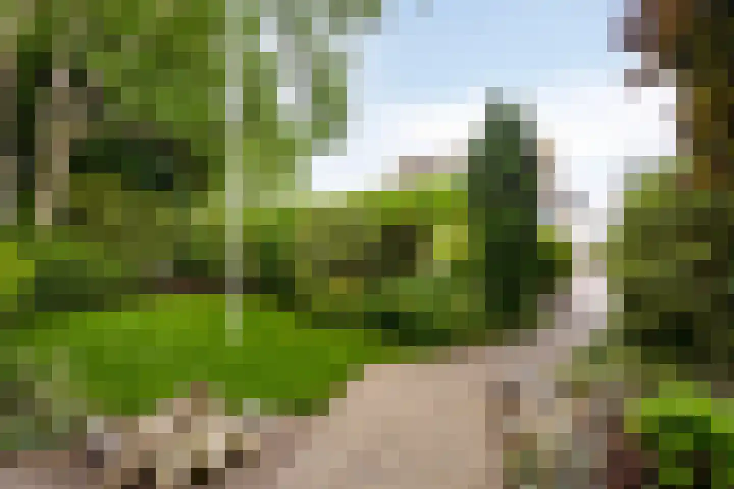Endeldijk 36 Honselersdijk thumbnail 7