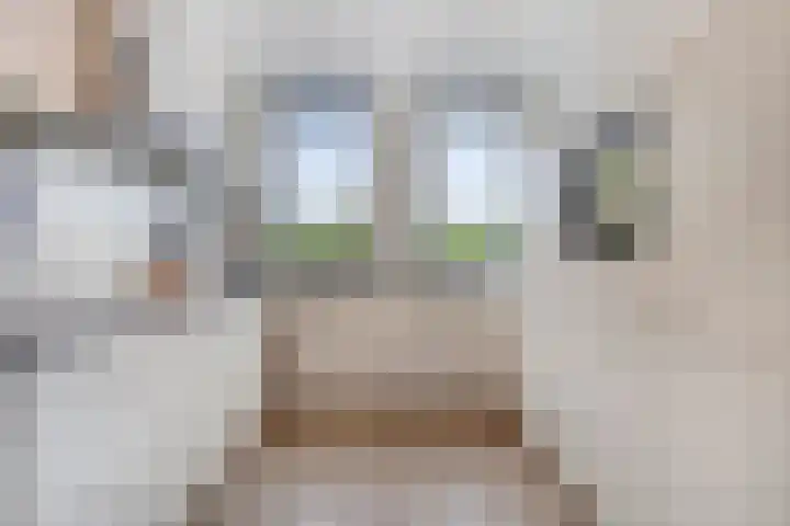 Enden 1 Krabbendijke thumbnail 10