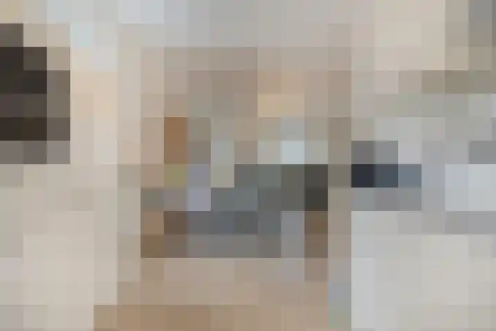 Enden 1 Krabbendijke thumbnail 11