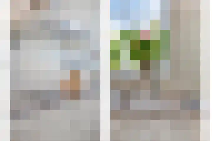 Enden 1 Krabbendijke thumbnail 12