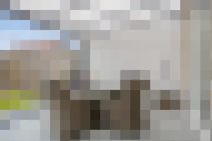 Enden 1 Krabbendijke thumbnail 13