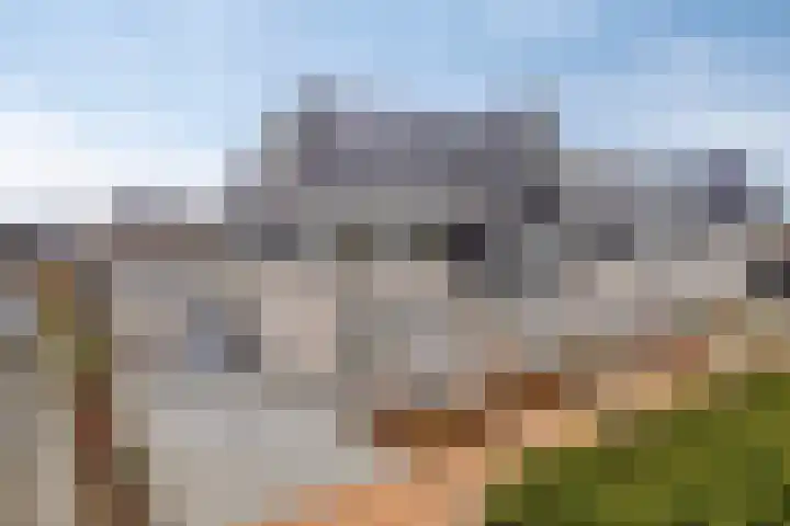 Enden 1 Krabbendijke foto 2