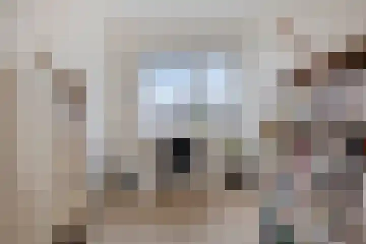 Enden 1 Krabbendijke thumbnail 22