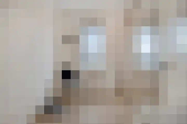 Enden 1 Krabbendijke thumbnail 24