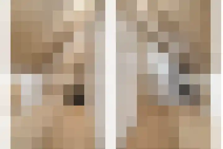 Enden 1 Krabbendijke thumbnail 29
