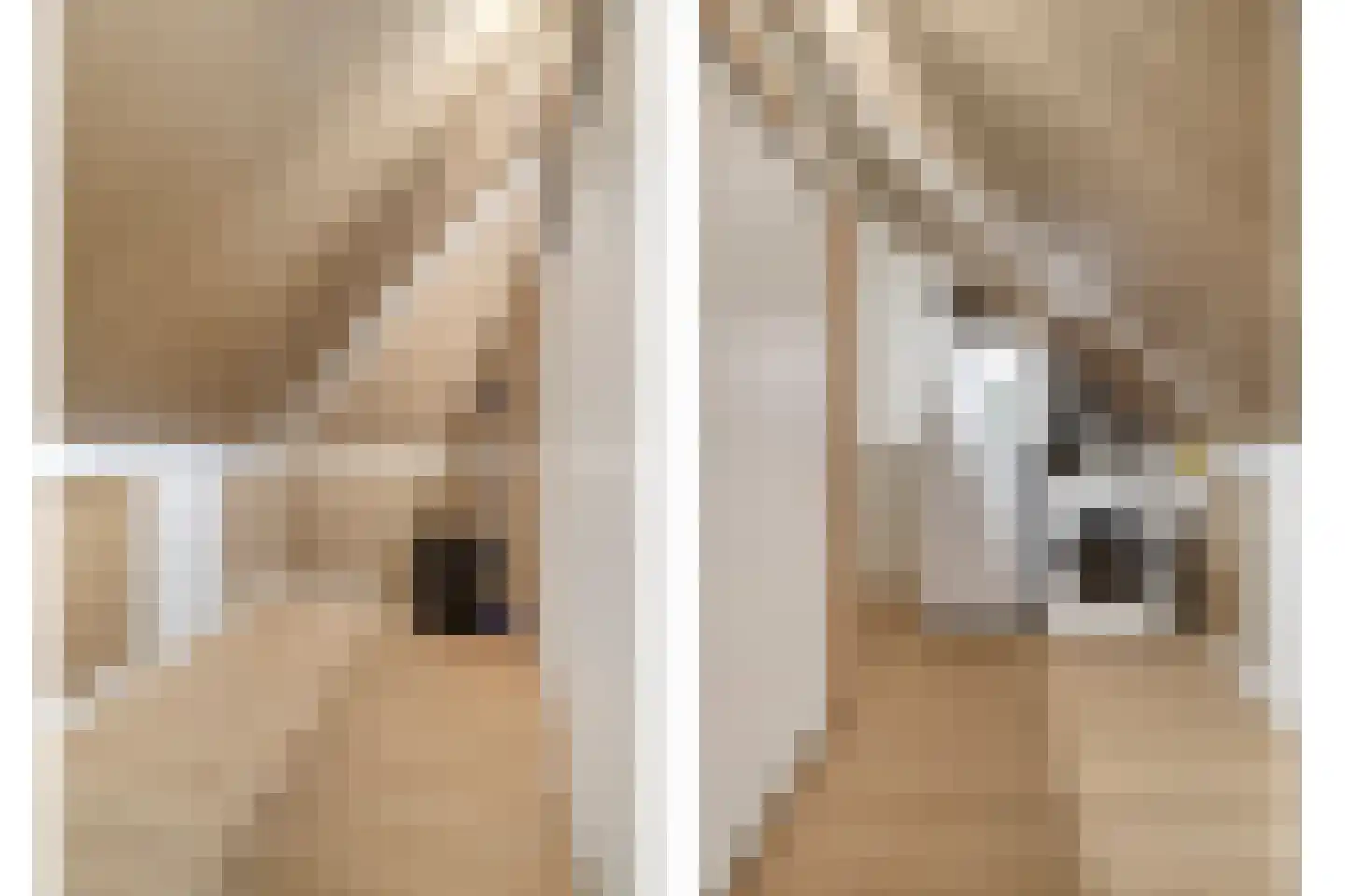Enden 1 Krabbendijke thumbnail 29
