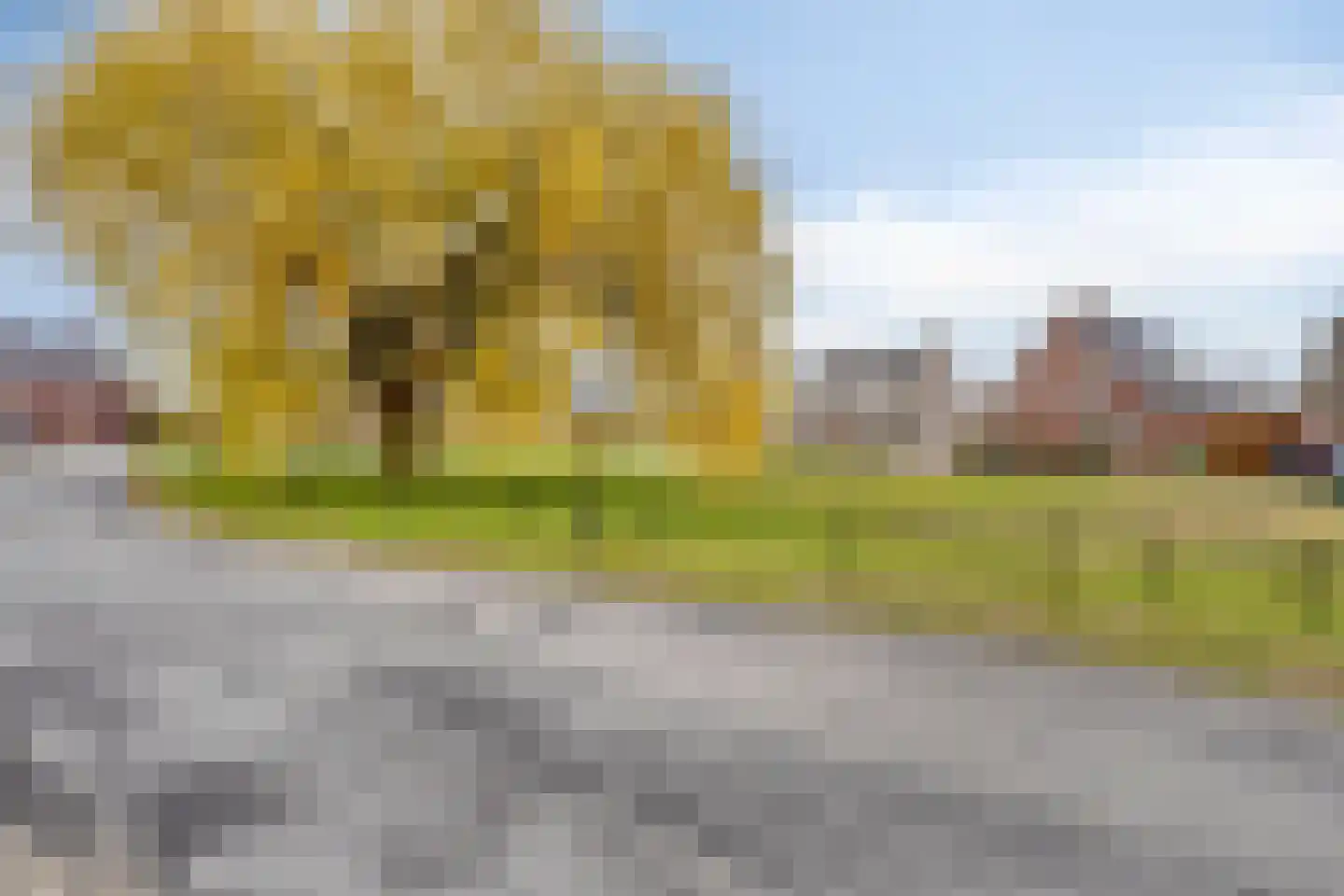 Enden 1 Krabbendijke thumbnail 37