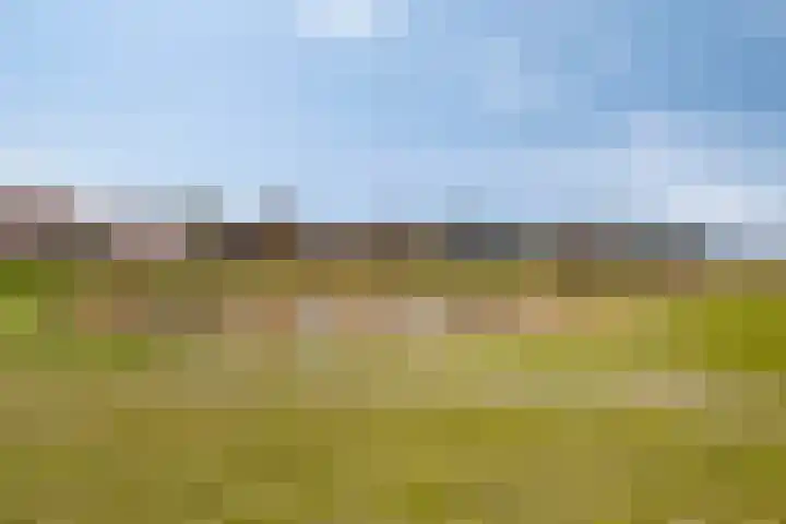 Enden 1 Krabbendijke thumbnail 38