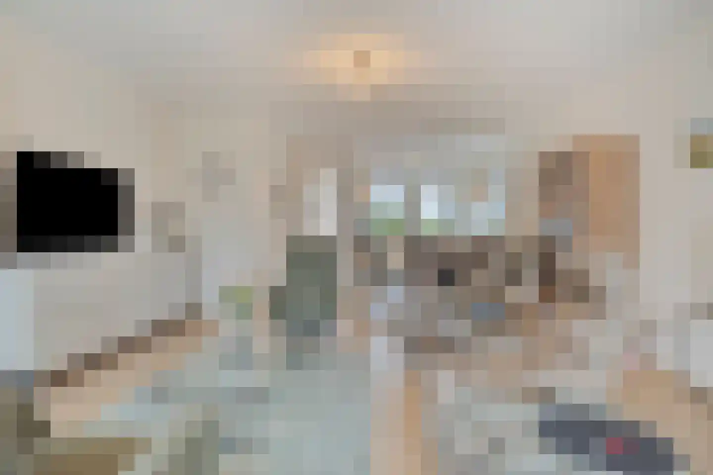 Enden 1 Krabbendijke thumbnail 7