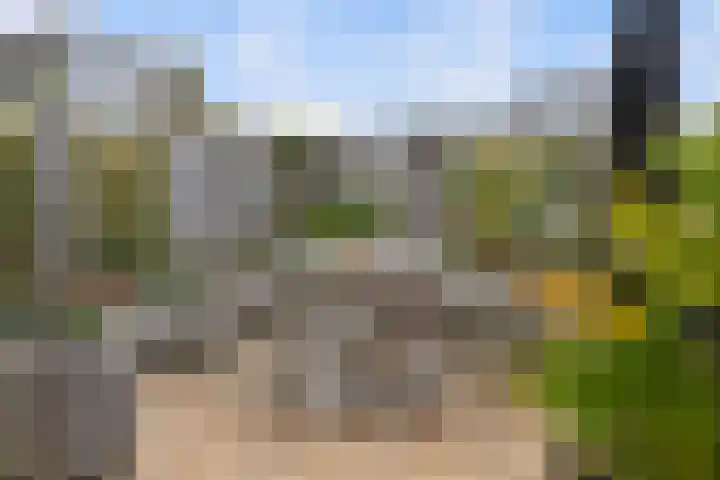 Endenburg 8 Rotterdam thumbnail 18