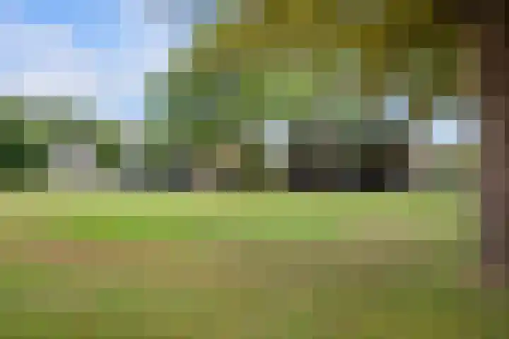 Endenburg 8 Rotterdam thumbnail 30